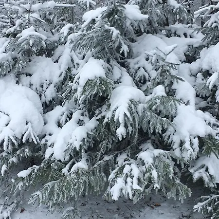 Mittelalterliches Fachwerkhaus Am Diebesturm - Klimatisiert- Casa vacanze Bad Sooden-Allendorf